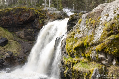 Moose Falls YNP May 2025